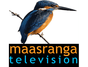 Maasranga TV logo